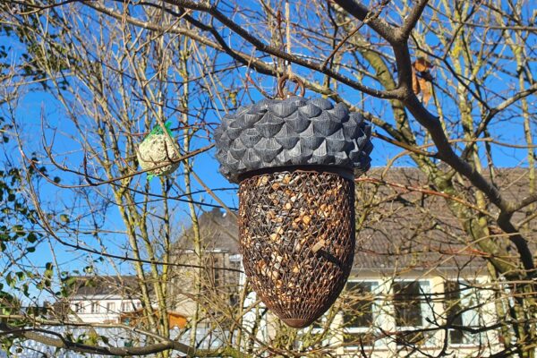 Futter für Wildvögel in der Winterzeit