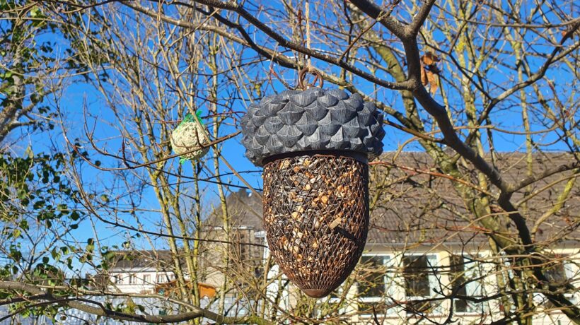 Futter für Wildvögel in der Winterzeit